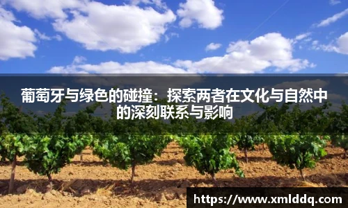 谈球吧官网